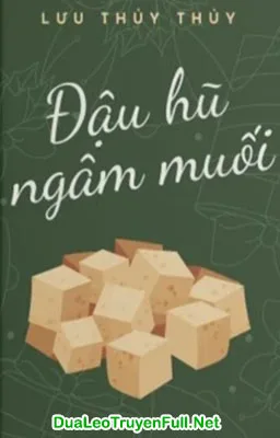 Ảnh bìa của Đậu Hũ Ngâm Muối – Lưu Thủy Thủy