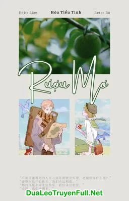 Ảnh bìa của Rượu Mơ – Hòa Tiểu Tinh