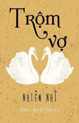 Ảnh bìa của [ĐAM MỸ] Trộm vợ – Nhiễm Nhĩ