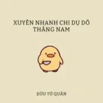 Xuyên nhanh chi dụ dỗ thẳng nam