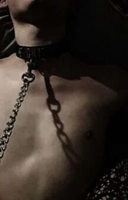 Ảnh bìa của [SONG TÍNH, 21+] Nô Lệ Song Tính