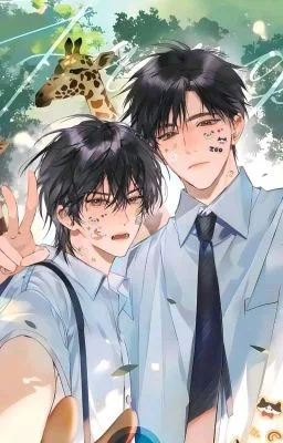 Ảnh bìa của Omega Đó Là Một Tiểu Tinh Tinh Vô Song