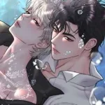 Cuộc sống của đôi phu phu