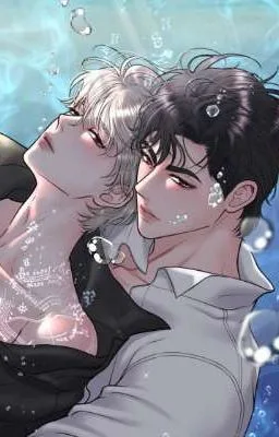 Ảnh bìa của Cuộc sống của đôi phu phu