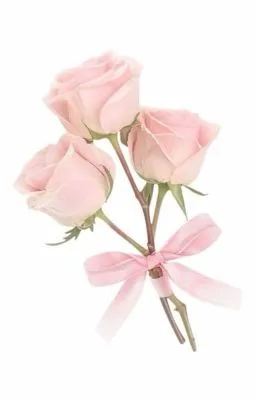 Ảnh bìa của [Truyện Sex Gay] Huấn luyện anh rể