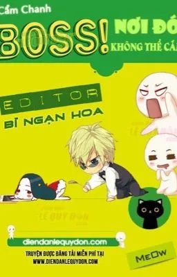 Ảnh bìa của Boss, nơi đó không thể cắm