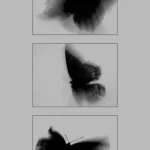 [Đam Mỹ] Thao Nát Với 22cm Là Thế Nào?