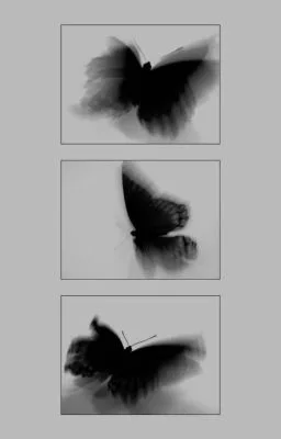 Ảnh bìa của [Đam Mỹ] Thao Nát Với 22cm Là Thế Nào?