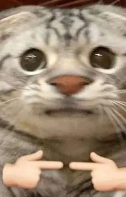 Ảnh bìa của [Đam Mỹ Thô Tục] Lớp trưởng, tớ chỉ là Beta thôi