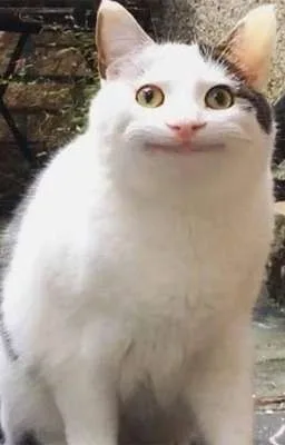 Ảnh bìa của (Đam Mỹ, Cao H) Solo leveling