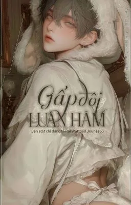 Ảnh bìa của [ĐAM MỸ – CAO H – NP] Gấp Đôi Luân Hãm