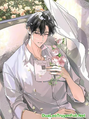 Ảnh bìa của Núi Lửa Ngủ – Tứ Chiêu Bạch Nhuy