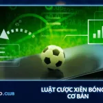 Ảnh minh họa: Cược Xiên Là Gì? Hướng Dẫn Đánh Xiên 3 Cực Chuẩn